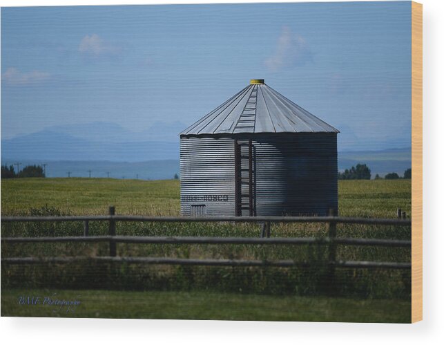 Nature Wood Print featuring the photograph Foothills Farm #1 by Edward Kovalsky