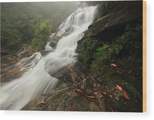 Nature Wood Print featuring the photograph Glen Falls Print Two #1 by Doug McPherson