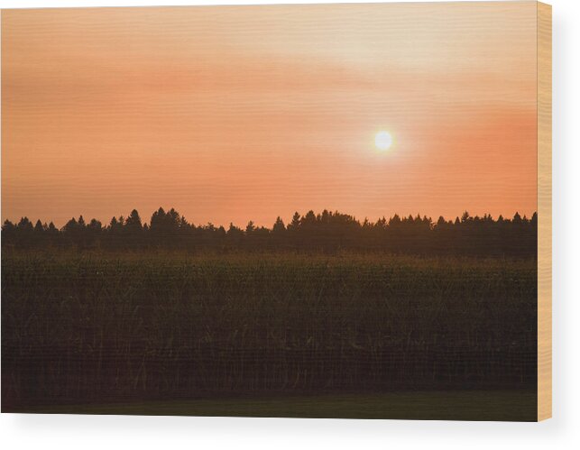 Sunset Wood Print featuring the photograph Hazy summer sunset #1 by Ian Middleton