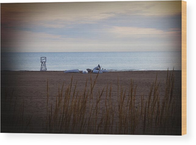 at The Beach Wood Print featuring the photograph Morning at the beach #1 by Milena Ilieva