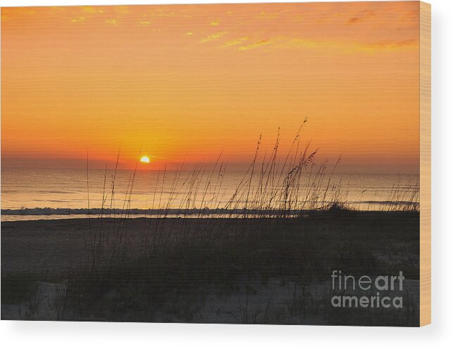 Beach Wood Print featuring the photograph Sunrise #1 by John Black