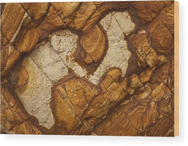 Hhh Wood Print featuring the photograph Volcanic Rock, Onawe, Banks Peninsula #1 by Colin Monteath