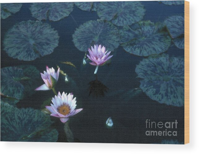 Water Lily Pink Green Color Delicacy Freshness Impressionism Wood Print featuring the photograph Water Lilies 1 #1 by Vilas Malankar