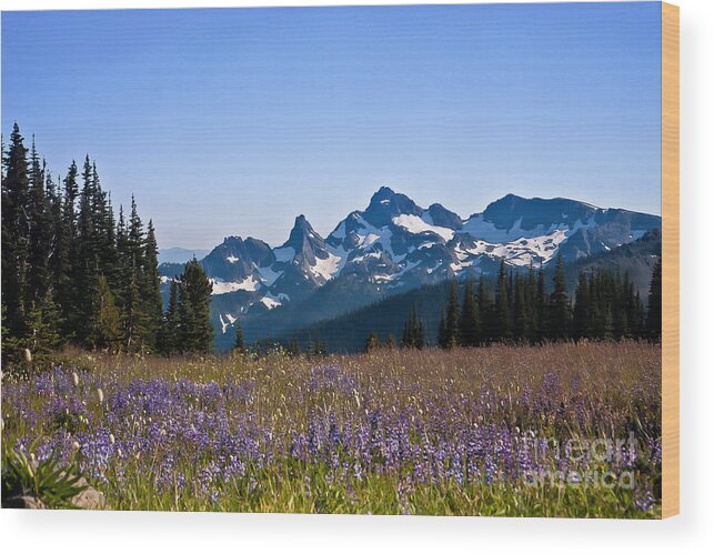 Cascade Wood Print featuring the photograph Wildflowers in the Cascades #1 by Ronald Lutz
