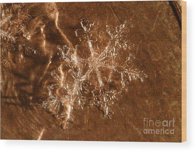 Snowflake Wood Print featuring the photograph Snowflake #18 by Ted Kinsman