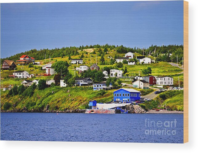 Fishing Wood Print featuring the photograph Fishing village in Newfoundland 1 by Elena Elisseeva