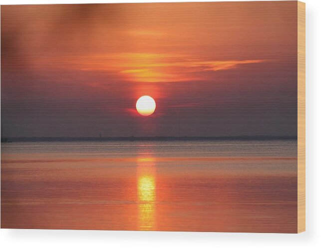 Florida Sunset Wood Print featuring the photograph Florida Sunrise #2 by Jeanne Andrews