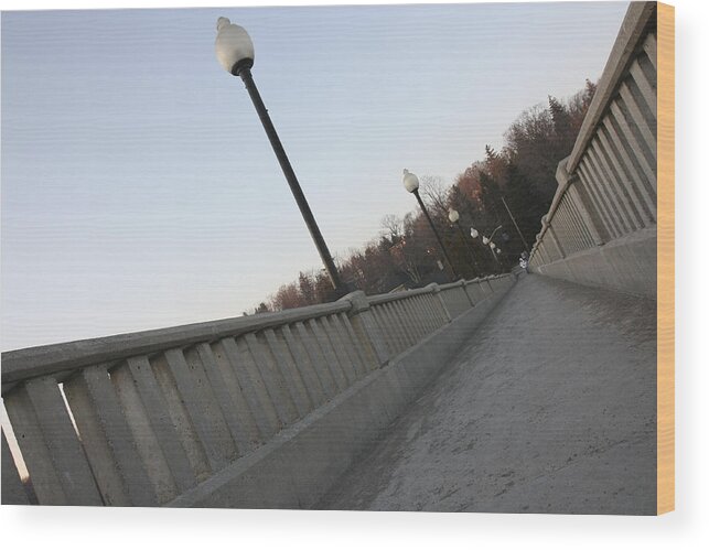 Guelph Wood Print featuring the photograph Walking Bridge #2 by Nick Mares