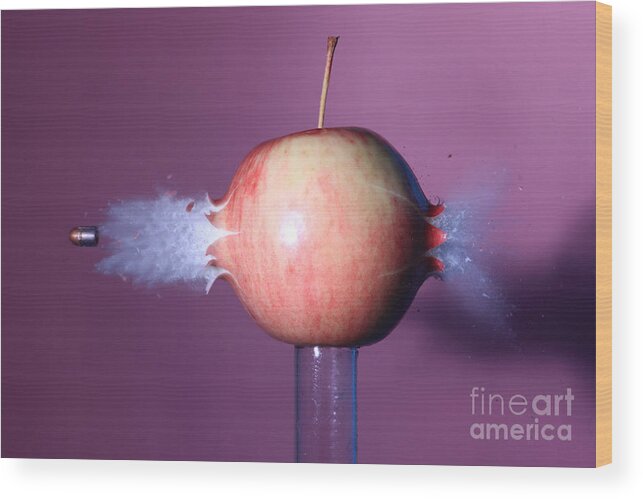Science Wood Print featuring the photograph Bullet Hitting An Apple #3 by Ted Kinsman