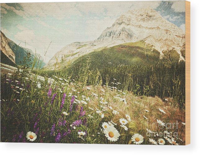Adventure Wood Print featuring the photograph Field of daisies and wild flowers #3 by Sandra Cunningham