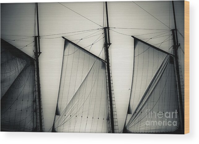 Sails Wood Print featuring the photograph 3 Sails In Monotone Of An Old Sailboat by Emilio Lovisa