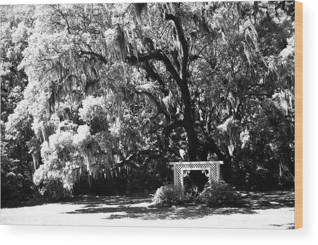 Landscape Wood Print featuring the photograph Wedding Place by Jean Wolfrum