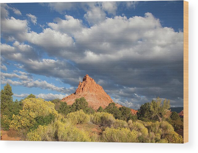 Southern Utah Wood Print featuring the photograph Capitol Reef National Park #488 by Southern Utah Photography