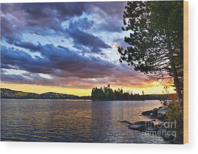 Sunset Wood Print featuring the photograph Dramatic sunset at lake in Ontario by Elena Elisseeva