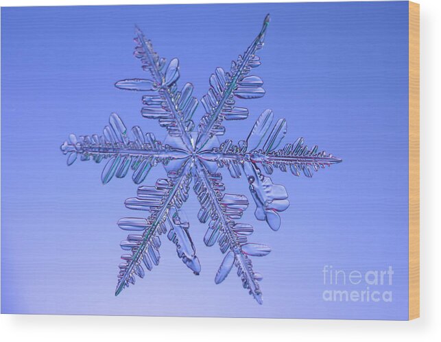 Snowflake Wood Print featuring the photograph Snowflake #60 by Ted Kinsman