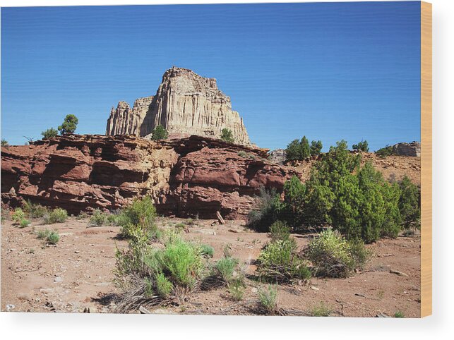 Southern Utah Wood Print featuring the photograph Capitol Reef National Park #640 by Southern Utah Photography