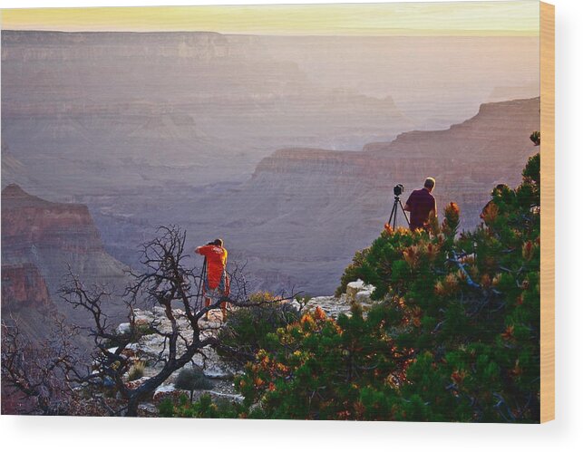 Grand Canyon Wood Print featuring the photograph A Grand Meeting Place by Diana Hatcher