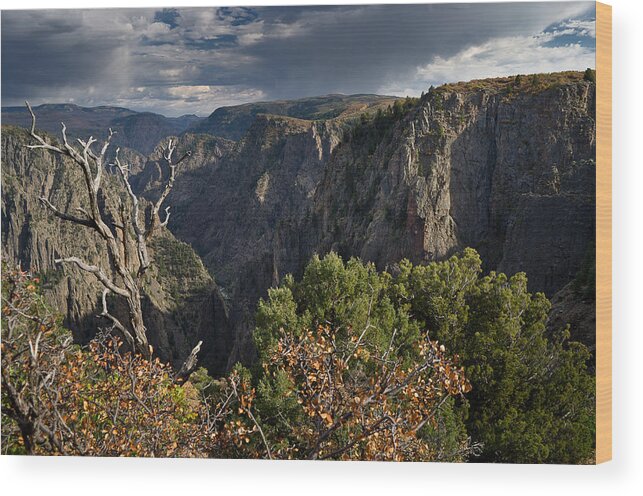 Black Canyon Of The Gunnison Wood Print featuring the photograph Afternoon Clouds over Black Canyon of the Gunnison by Greg Nyquist
