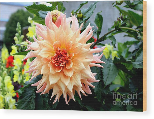 Flowers Wood Print featuring the photograph Alaskan Beauty by Kathy White