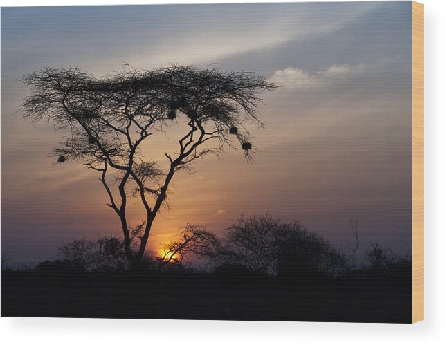 Sunrise Wood Print featuring the photograph Amboseli Sunrise by Marion McCristall