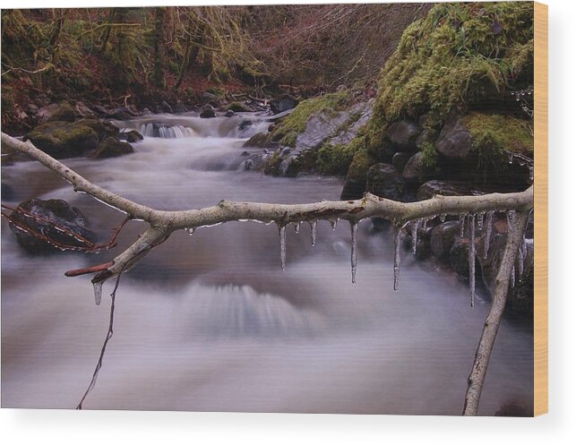 Icicles Wood Print featuring the photograph An icy flow by Gavin Macrae