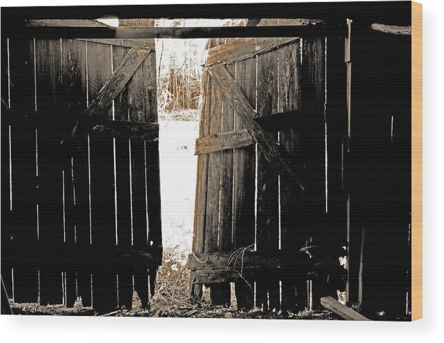 Country Wood Print featuring the photograph Antique Door by La Dolce Vita