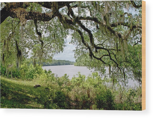 Apalachicola Wood Print featuring the photograph Apalachicola River by Paul Mashburn