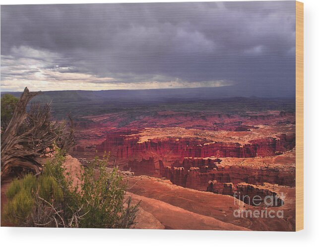Panoramic Wood Print featuring the photograph Approaching Storm by Robert Bales