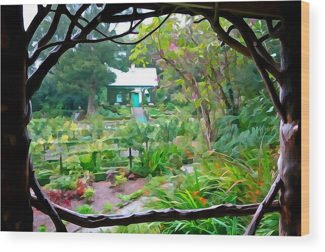 Pergola Wood Print featuring the photograph Arbor View by Norma Brock