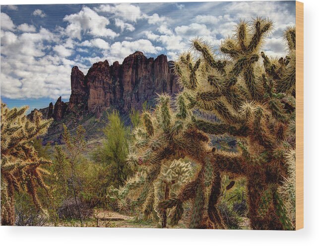 Arizona Wood Print featuring the photograph Arizona Landscape by Mark Valentine