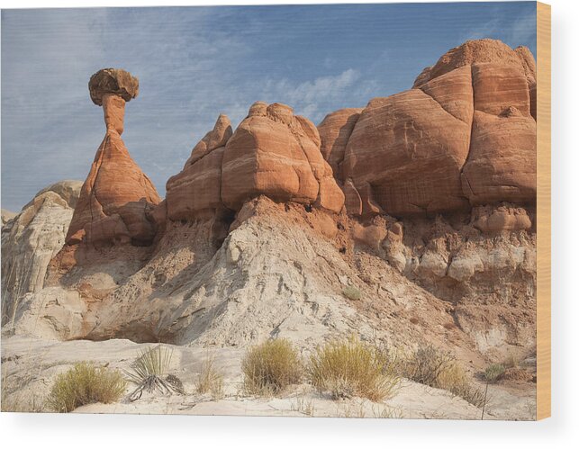 Desert Wood Print featuring the photograph Arizona Toadstool Hoodoos by Mike Irwin