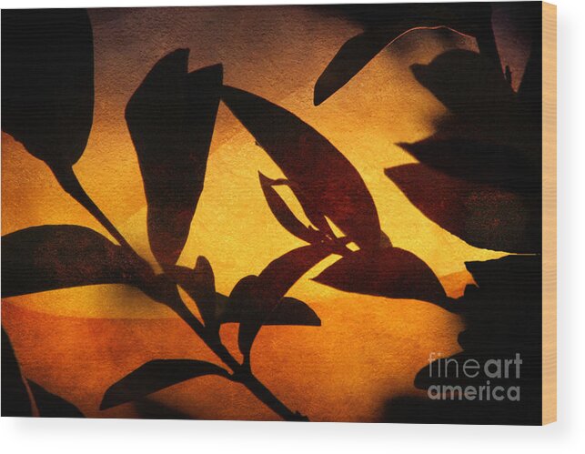 Autumn Wood Print featuring the photograph Autumn Abstract by Ellen Cotton