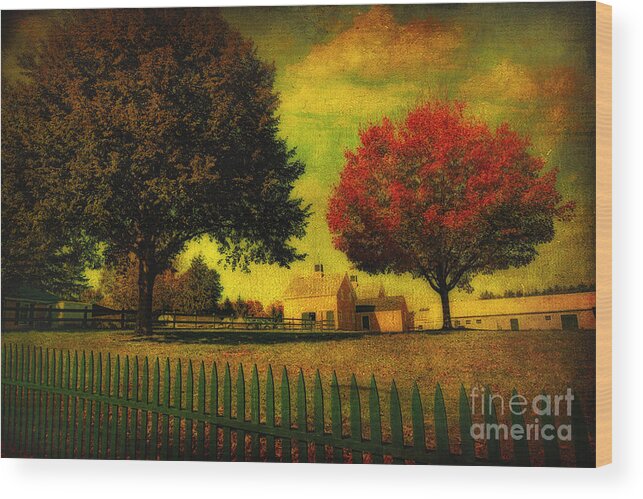 Cape Cod Wood Print featuring the photograph Autumn at the Farm by Gina Cormier