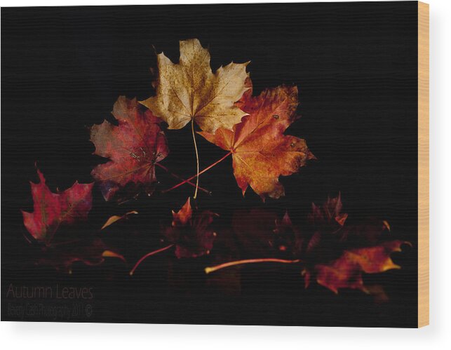 Autumn Wood Print featuring the photograph Autumn Leaves by B Cash