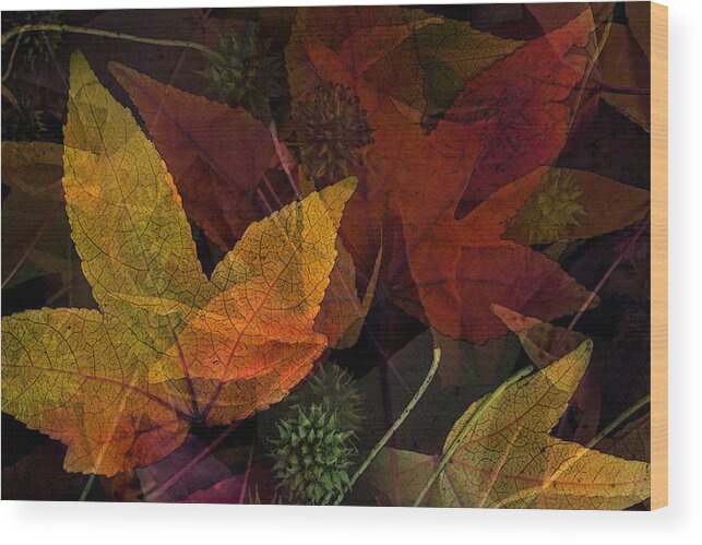 Collage Wood Print featuring the photograph Autumn Leaves Collage by Bonnie Bruno