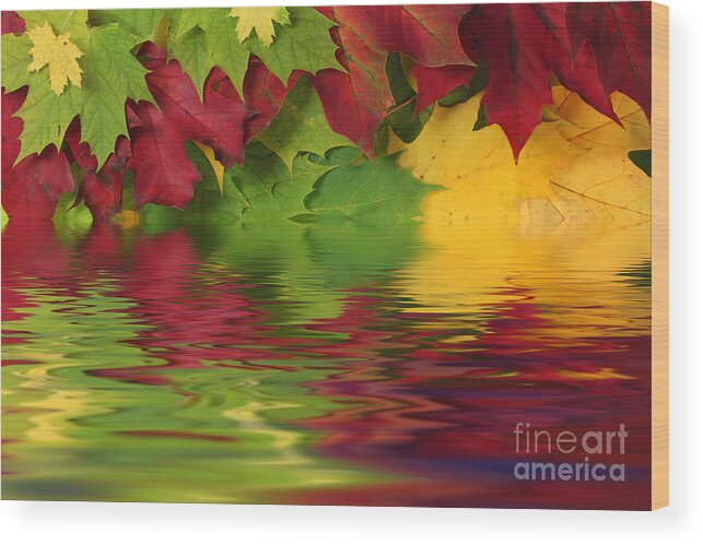 Leaves Wood Print featuring the photograph Autumn leaves in water with reflection by Simon Bratt