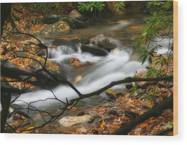 Spring Wood Print featuring the photograph Autumn Spring by Joan Bertucci