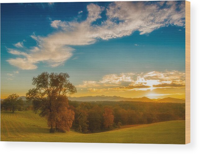 Asheville Wood Print featuring the photograph Autumn Trees by Joye Ardyn Durham
