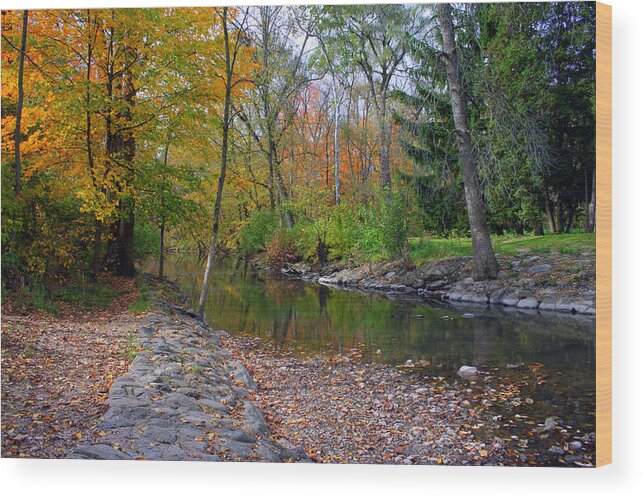 Nature Wood Print featuring the photograph Autumn's Splendor by Kay Novy