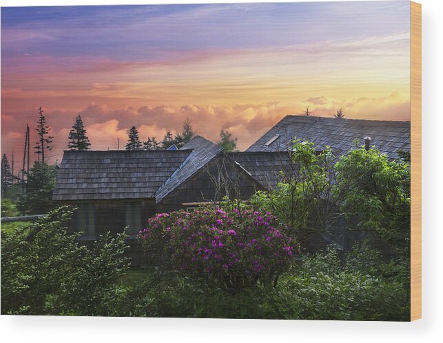 American Wood Print featuring the photograph Azaleas at Sunrise by Debra and Dave Vanderlaan