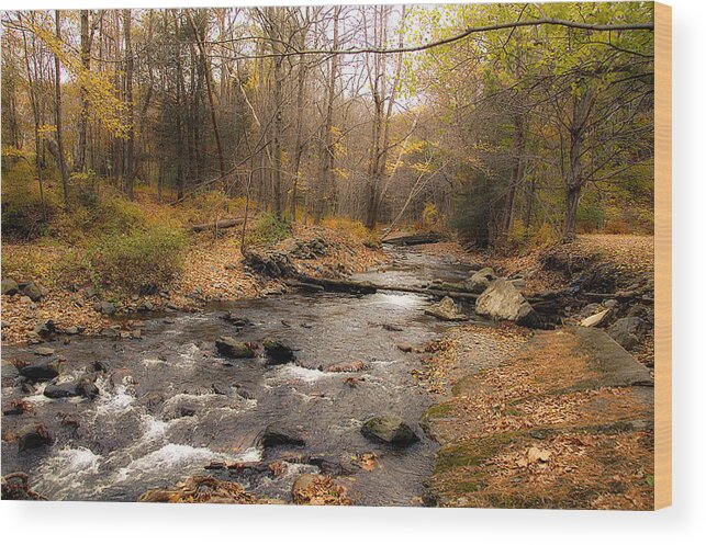 Stream Wood Print featuring the photograph Babbling Brook in Autumn by Cathy Kovarik