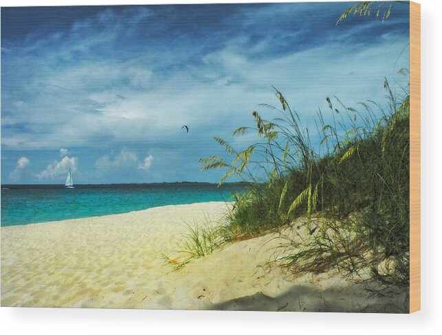 Tropical Wood Print featuring the photograph Bahamas Afternoon by Deborah Smith