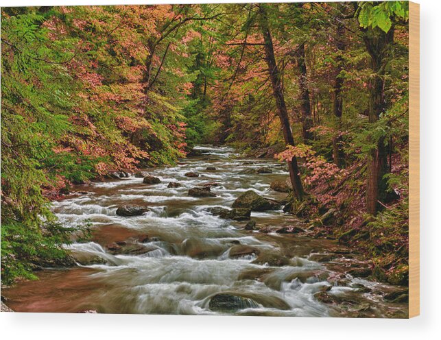 Landscape Wood Print featuring the photograph Bash Bish Falls River by Fred LeBlanc