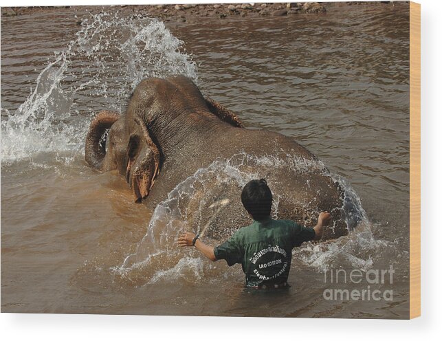 Reverse Wood Print featuring the photograph Bath Time In Laos by Bob Christopher