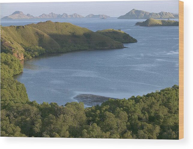 Mp Wood Print featuring the photograph Bay And Outlying Islands Off Rinca by Cyril Ruoso