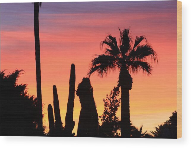 Palms Wood Print featuring the photograph Beauty Beyond by Kim Galluzzo