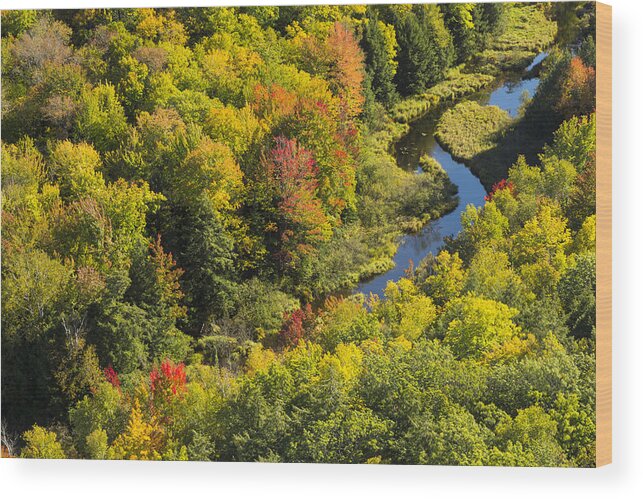 River Wood Print featuring the photograph Big Carp River 3 by John Brueske