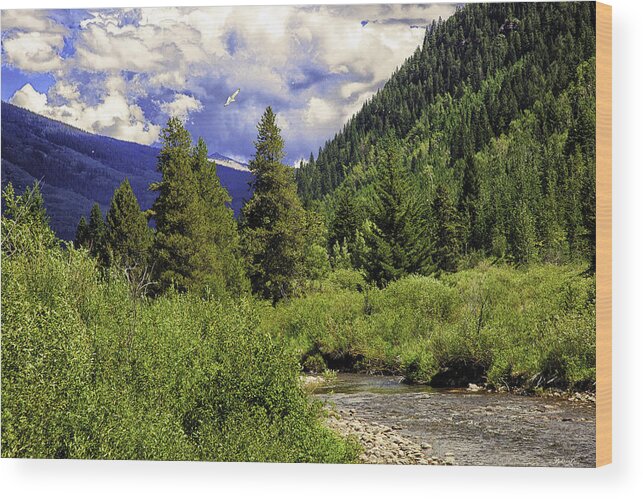 Vail Wood Print featuring the photograph Bird Over Vail 2 by Madeline Ellis