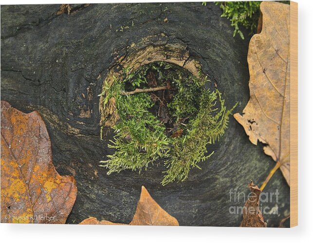 Landscape Wood Print featuring the photograph Black Hole Life by Susan Herber
