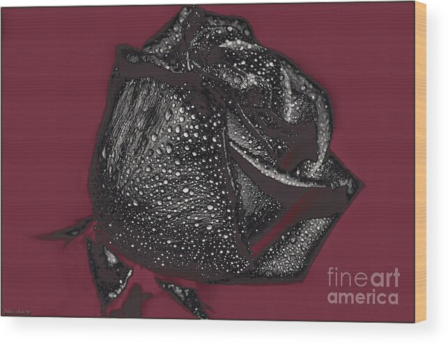 Nature Wood Print featuring the photograph Black Rose - Digital Effect by Debbie Portwood